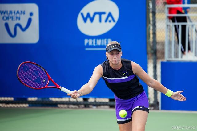 术功底的体 术功底的体